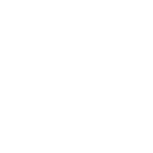 Software development